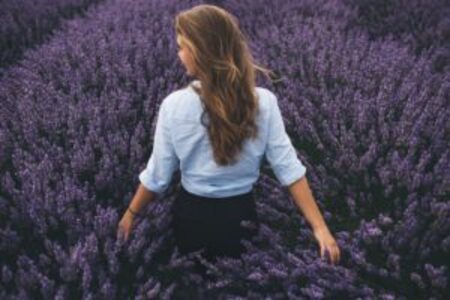 What Does Lavender Do To Your Body?