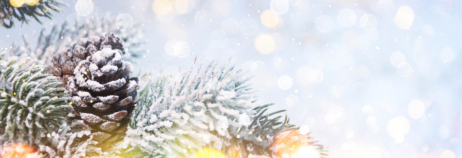 Space Coast Massage and Spa Happy Spalidays Holiday Packages and Winter Services